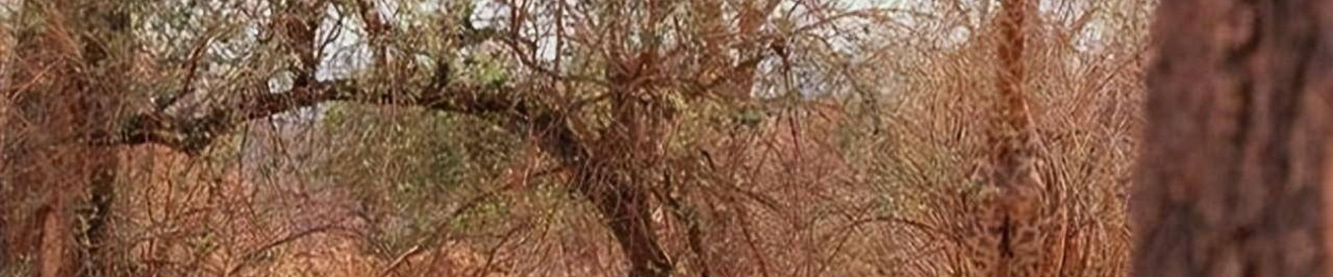 联系方式